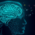 What do nootropics do to the brain?