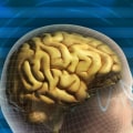 Do nootropics damage the brain?